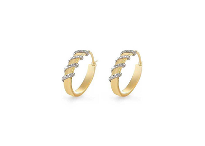 2 Tone Plated | Fashion Earrings